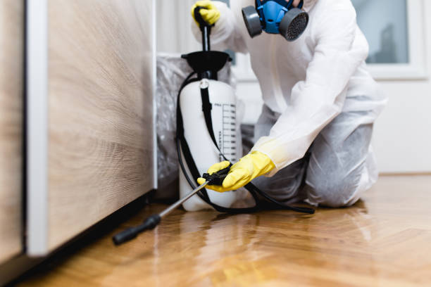 Best Commercial Pest Control Services  in Kill Devil Hills, NC
